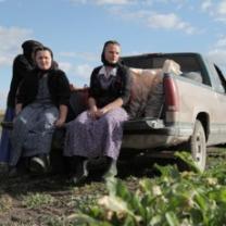 American_colony_meet_the_hutterites_241x208