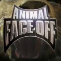 Animal Face-Off - Series - TV Tango