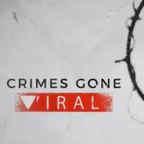 Crimes_gone_viral_241x208