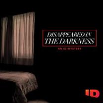Disappeared_in_the_darkness_an_id_mystery_241x208
