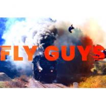 Fly_guys_241x208