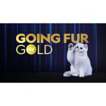 Going_fur_gold_241x208