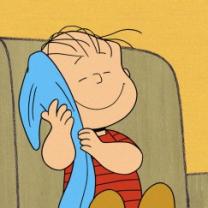 Happiness_is_a_warm_blanket_charlie_brown_241x208