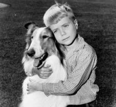 Lassie_1954_241x208