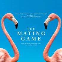 Mating_game_241x208