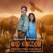 Mutual_of_omahas_wild_kingdom_protecting_the_wild_241x208