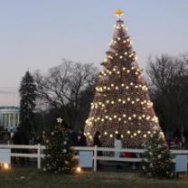 National_christmas_tree_lighting_2017_241x208