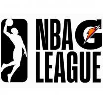 Nba_g_league_basketball_241x208