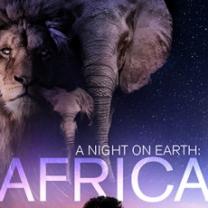 Night_on_earth_africa_241x208