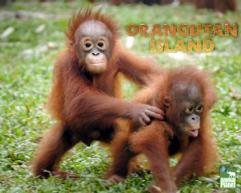 Orangutan_island_241x208