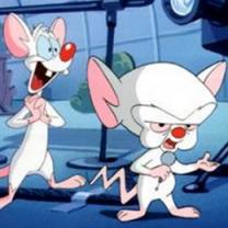 Pinky_and_the_brain_241x208