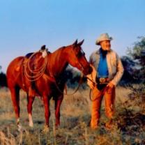 Red_steagall_is_somewhere_west_241x208