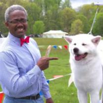 Road_to_westminster_dog_show_241x208