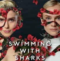 Swimming_with_sharks_241x208