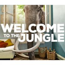 Welcome_to_the_jungle_241x208