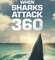 When_sharks_attack_360_241x208